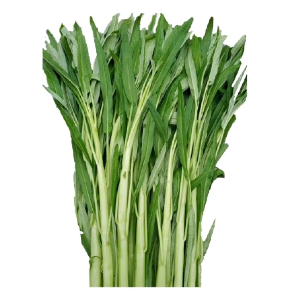 100+ Seed Water Spinach White for Yard & Garden – Non-GMO, Green Leaf Vegetable