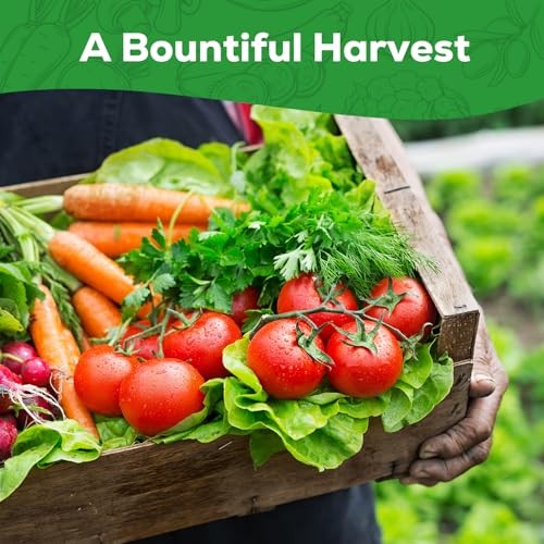 30 Heirloom Vegetable Seeds for Planting, 12,000+ Garden Seeds