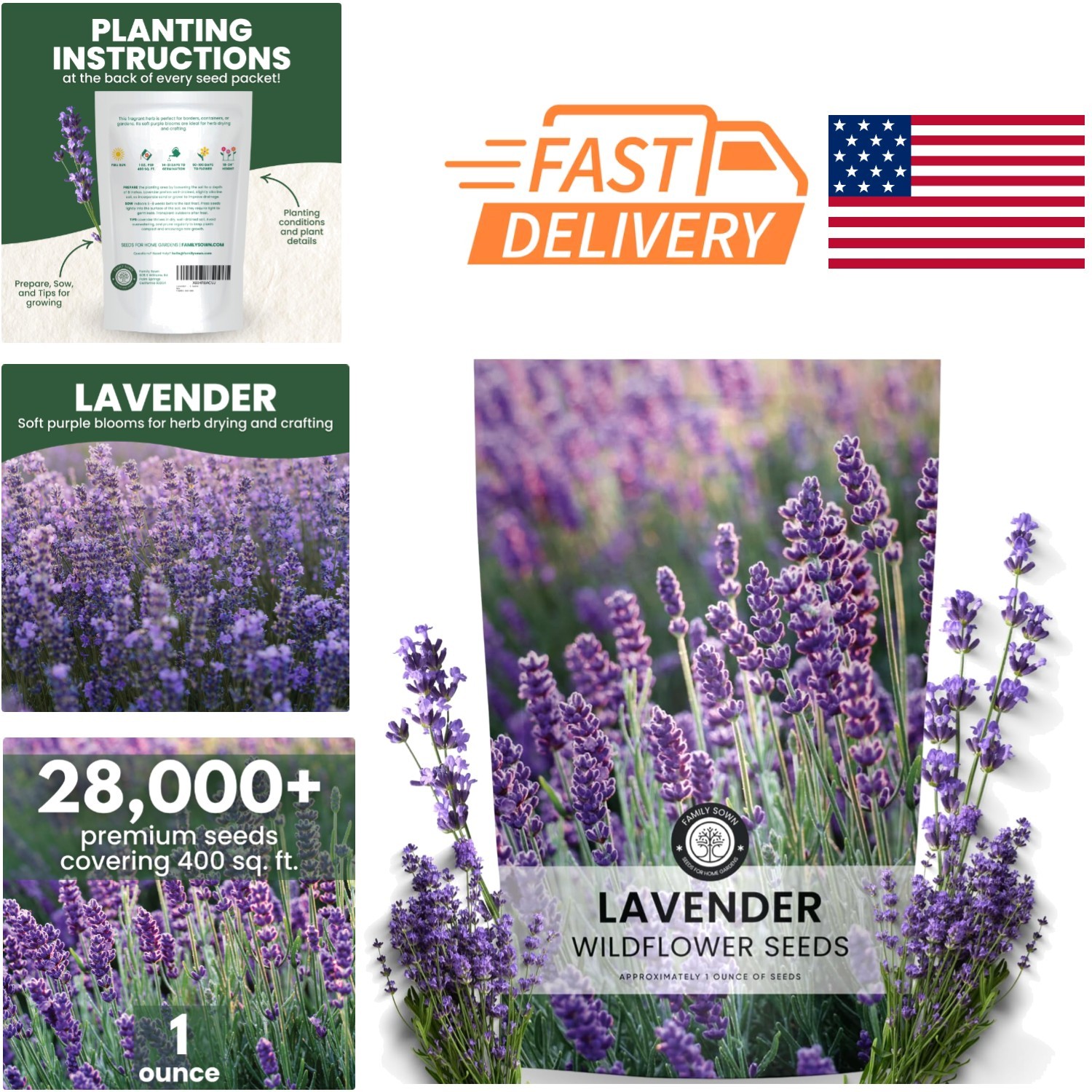 1 Ounce Lavender Seeds 28000 Seeds Perfect for Cottage and Pollinator Gardens