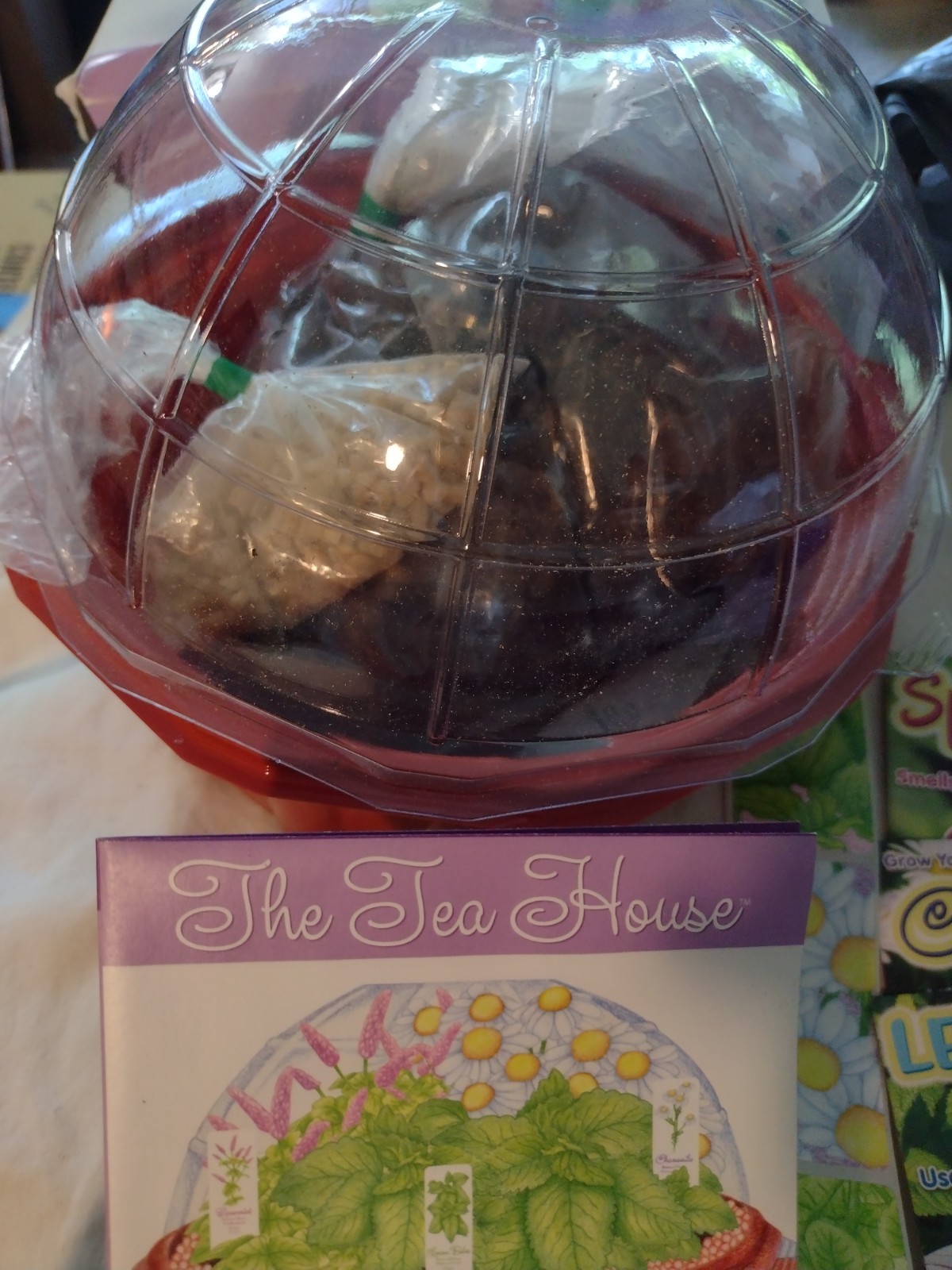 The Tea House Herb Garden Greenhouse, Window Herb Garden, Tea Herbs, 2 sets