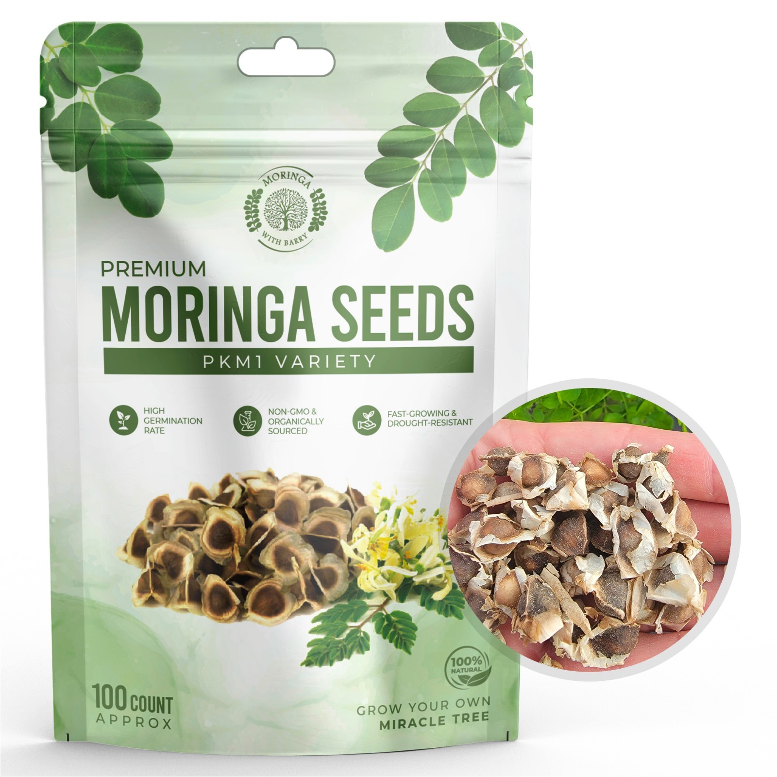 Moringa Seeds 100 Count High-quality NON-GMO Organically Grown Pkm1 Variety