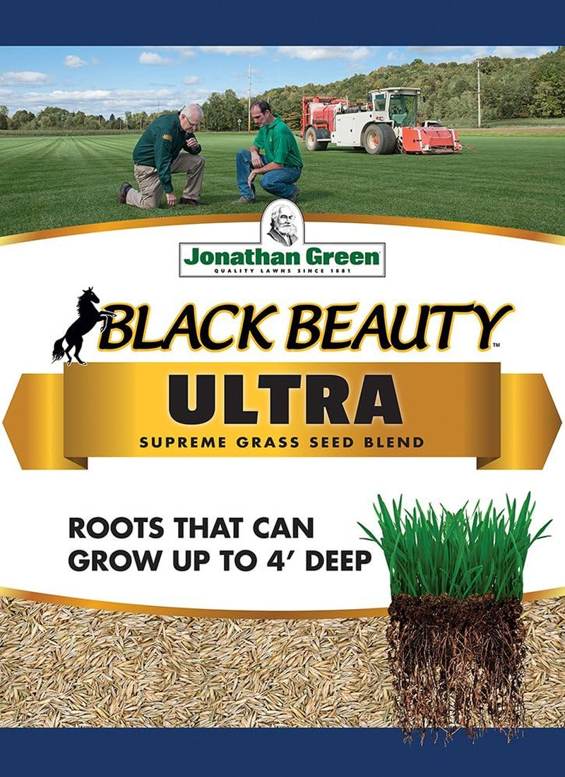 Jonathan Green 40322 Black Beauty Ultra Grass Seed, 7 Lb