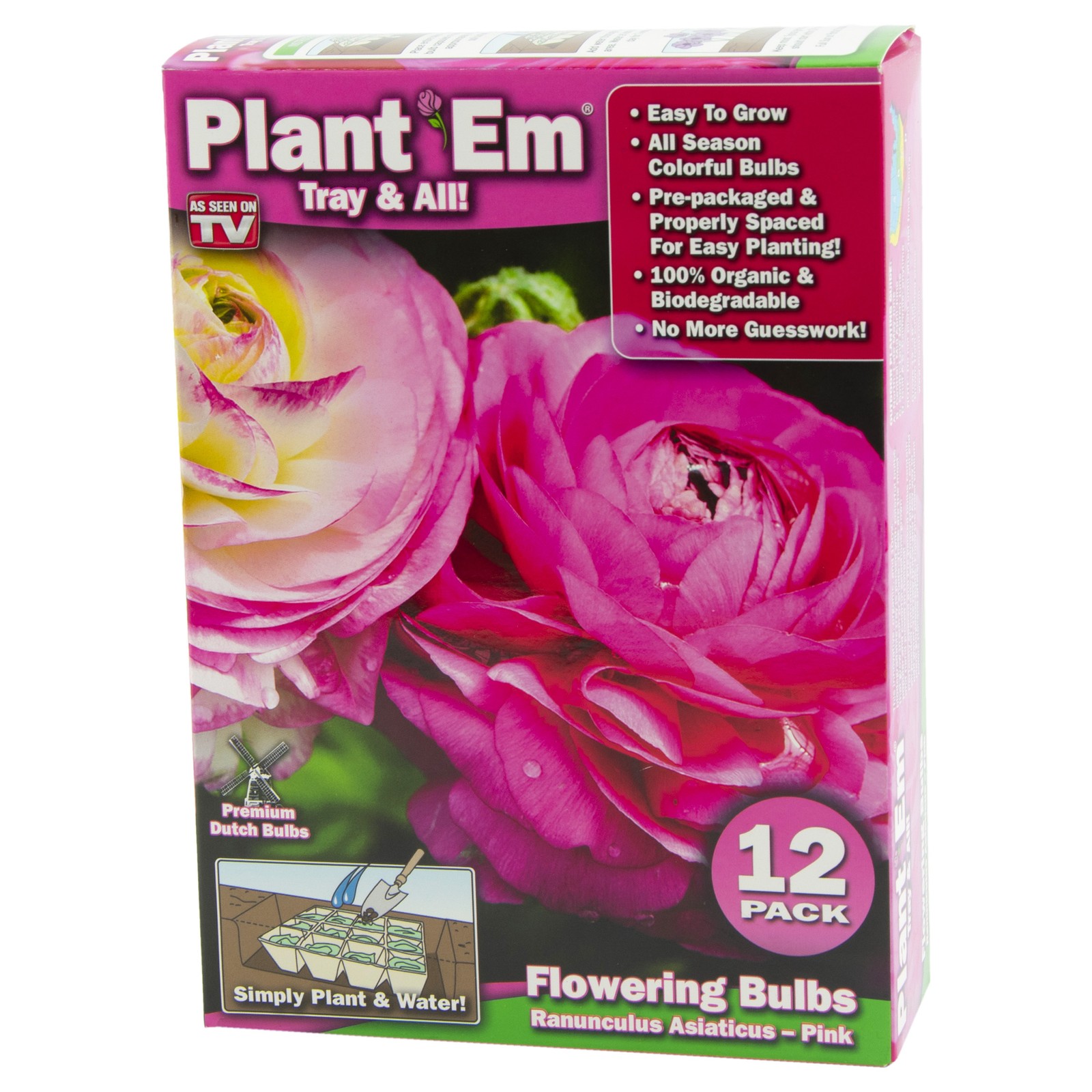 Garden Innovations PLANT EM Pink Ranunculus Asiaticus Flowering Bulbs in Tray