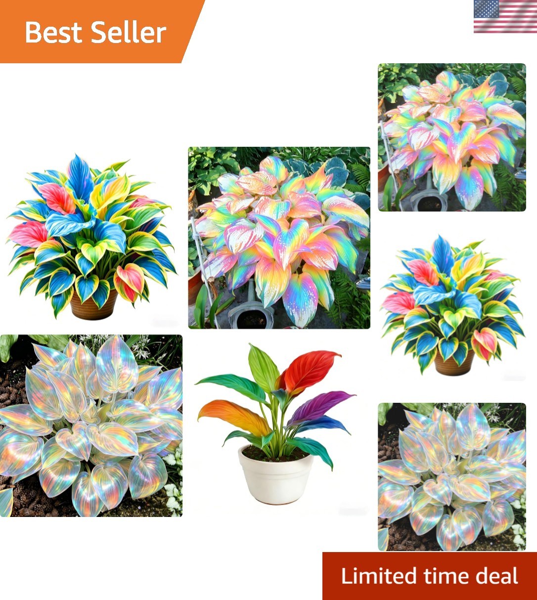 Rare 290+ Hosta Flower Seeds – Shade-Loving, Pollinator-Friendly Garden Beauties