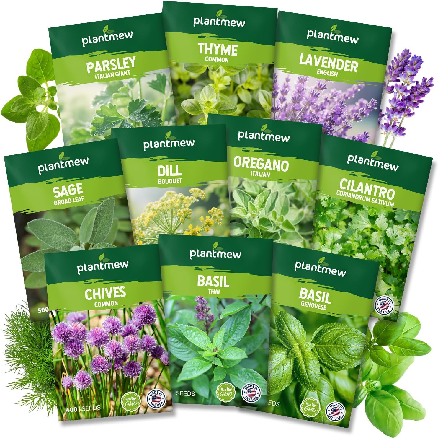 Culinary Herb Seeds Variety for Indoor Outdoor Growing 10 Types Home Kitchen