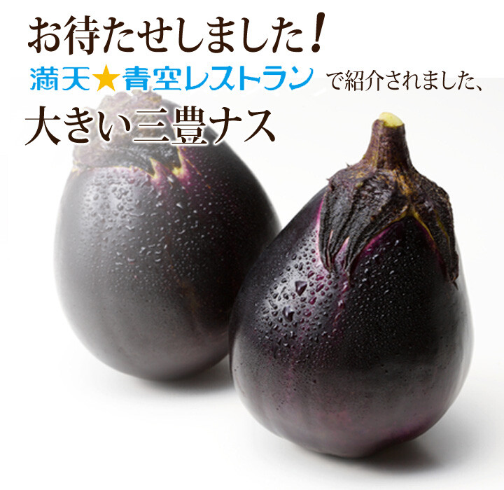 Rare✿ NEW! Japanese Heirloom Mitoyo Eggplant 15+ Seeds ●Sweet Flavor