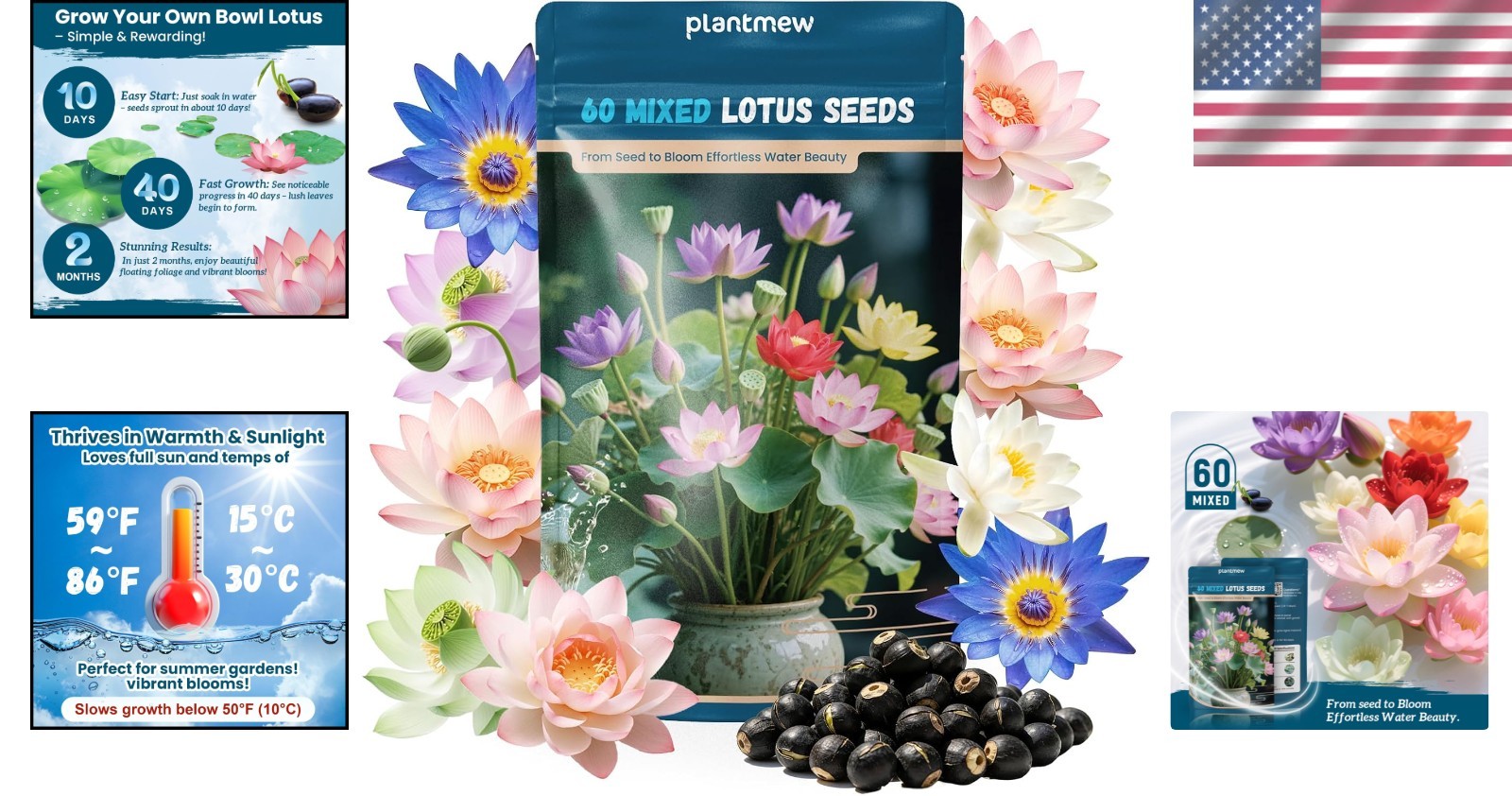 Heirloom Bowl Lotus Seeds – Indoor & Outdoor Mixed Colors for Stunning Gardens