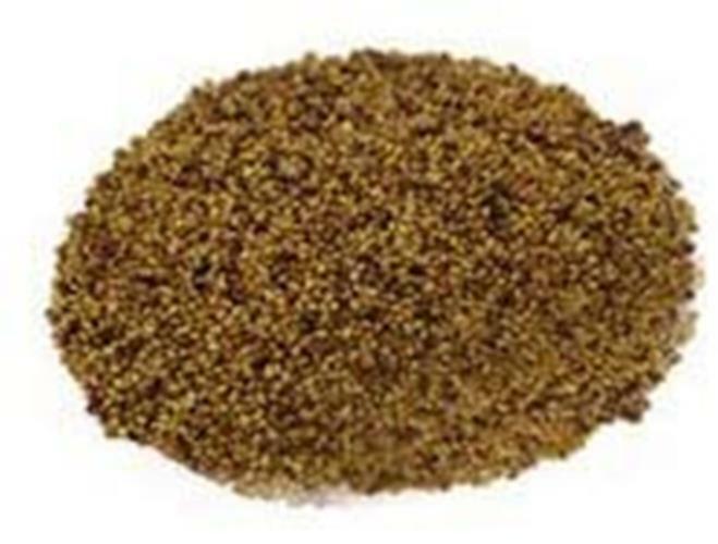 16 oz Red Clover