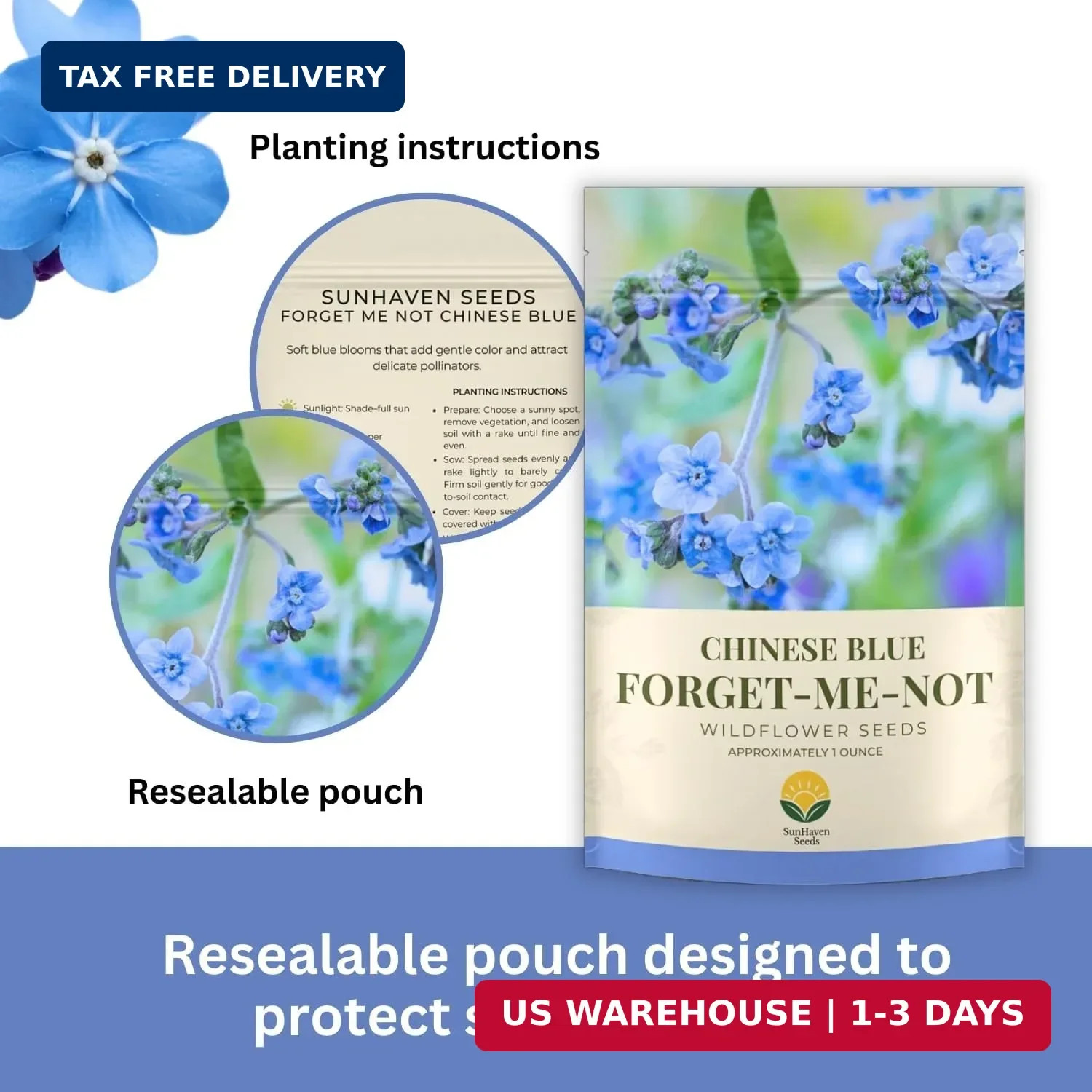 Forget-Me-Not Seeds (Chinese Blue) – 5,000+ Seeds – 1 oz Bulk Extra Large Packet