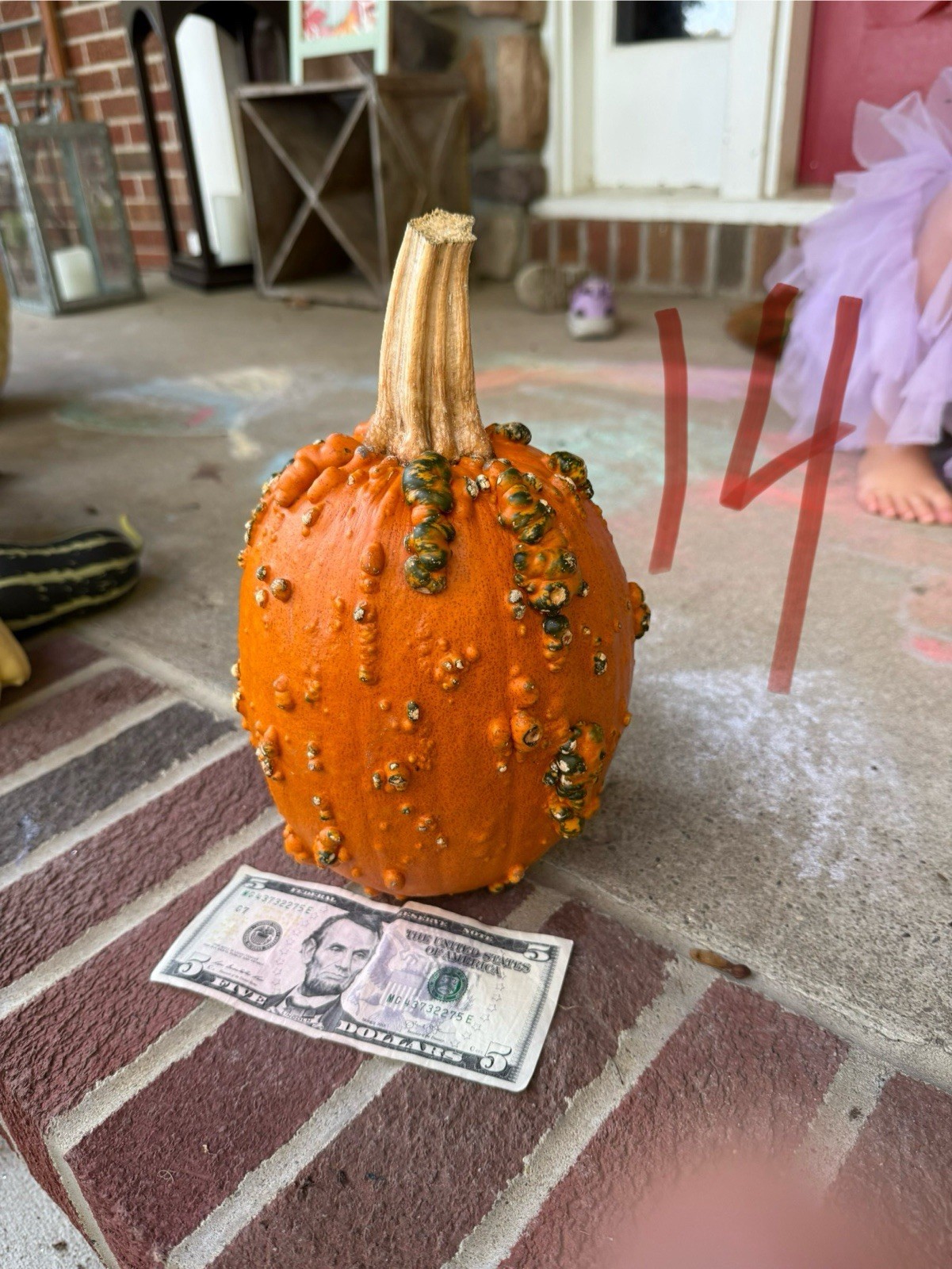 Seeds #14: Warty Goblin Orange/Green Pumpkin. Bumpy (10 ct)