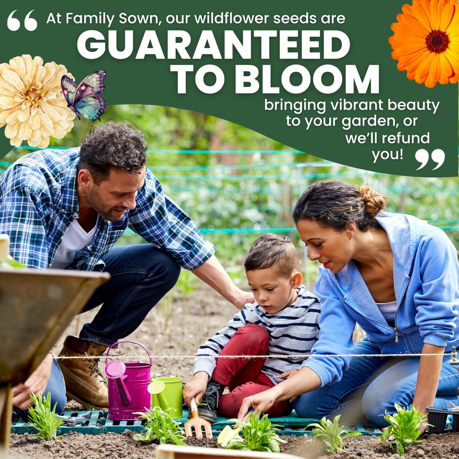 Premium Culinary Seeds Mix – 5,000 Edible Flower & Herb Seeds for Planting