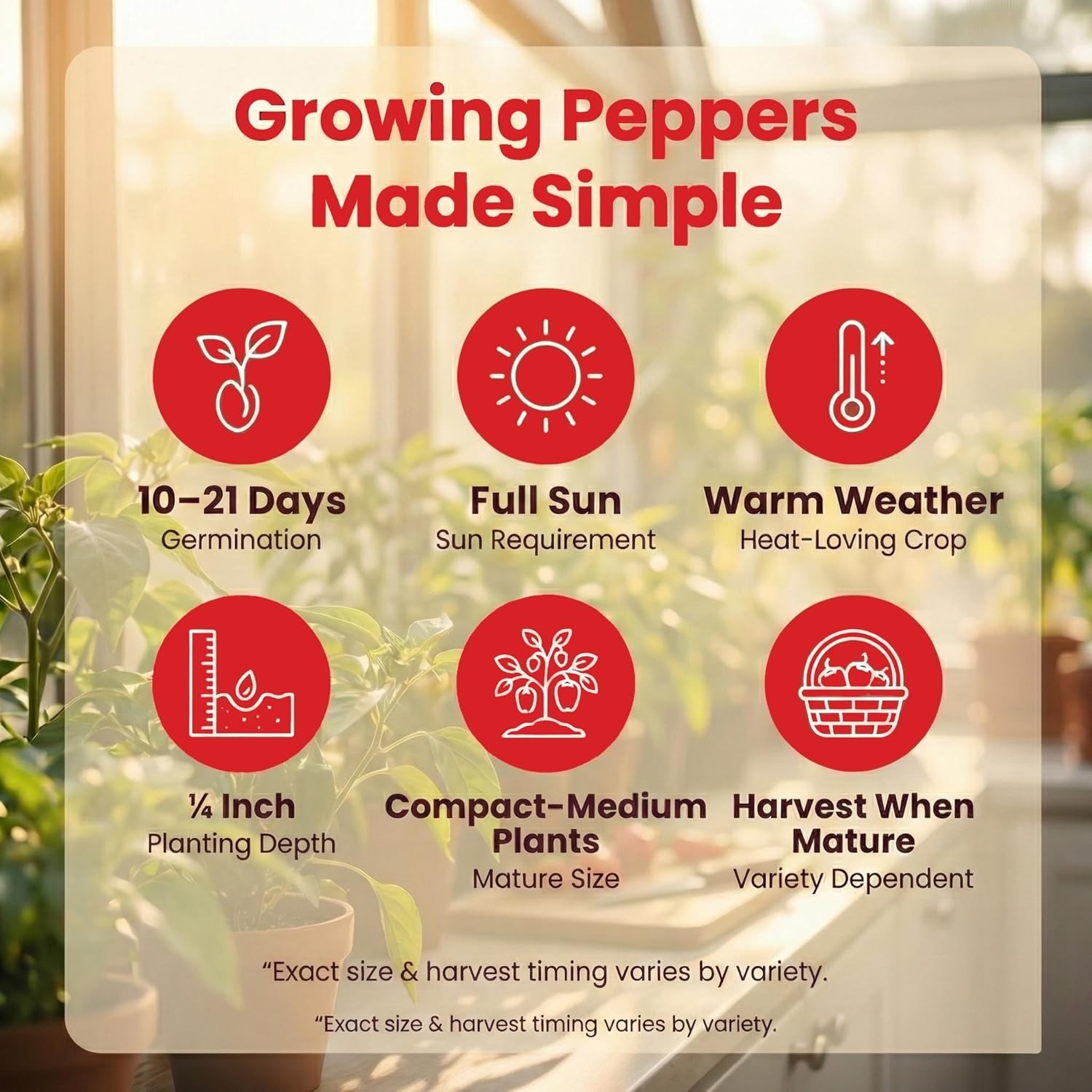 Hot Pepper Seeds for Planting, Cayenne, Hungarian Yellow, Jalapeno, Serrano, …