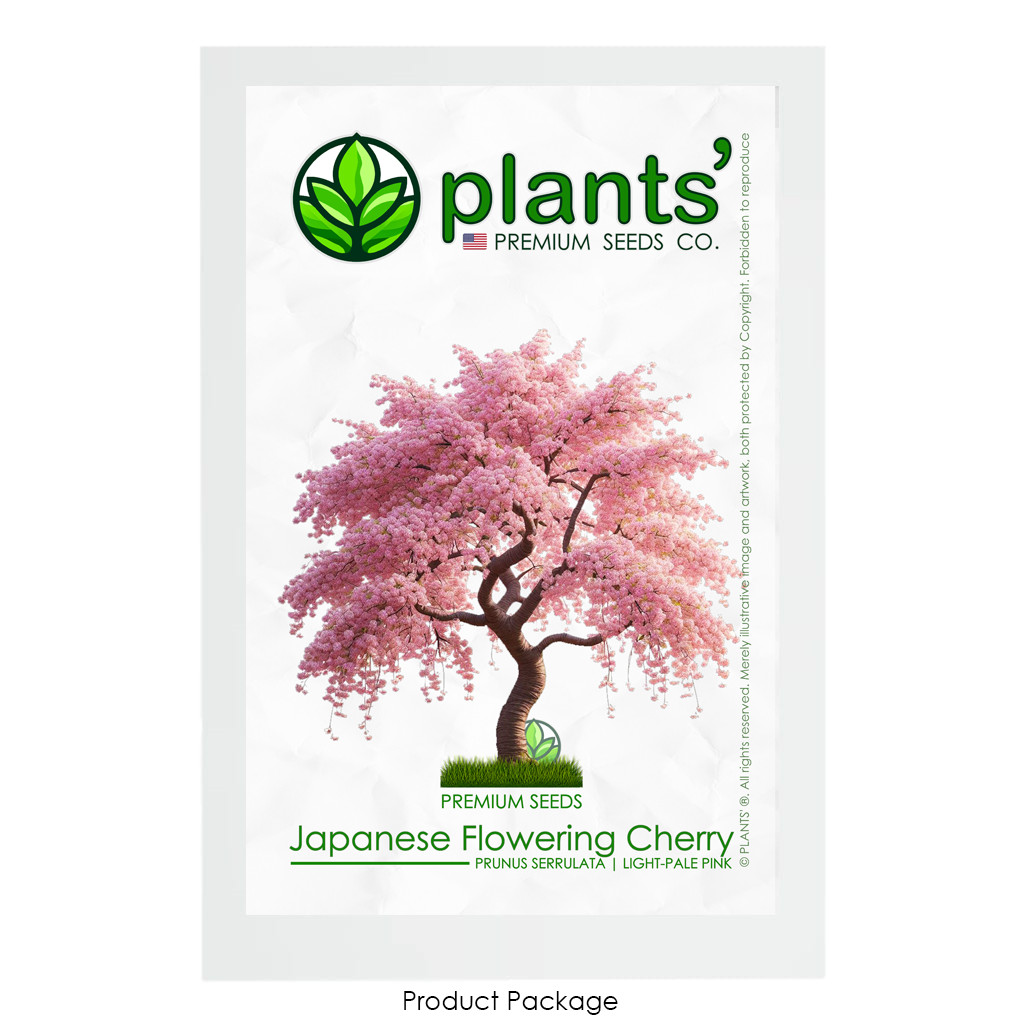 Japanese Flowering Cherry Tree | Premium Seeds | Prunus serrulata | Plants’®