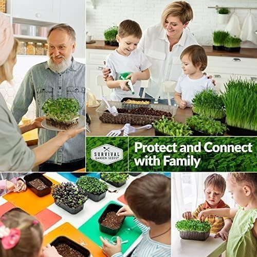 -Round Indoor Microgreens: 10 Varieties of Non-GMO Seeds for Healthy Living