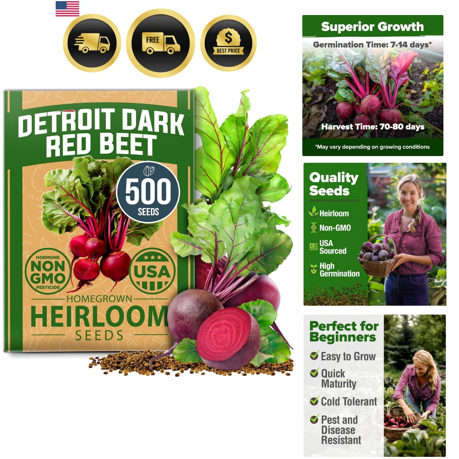Detroit Dark Red Beet Seeds 500+ Heirloom Non GMO Seeds for Planting, High Ge…