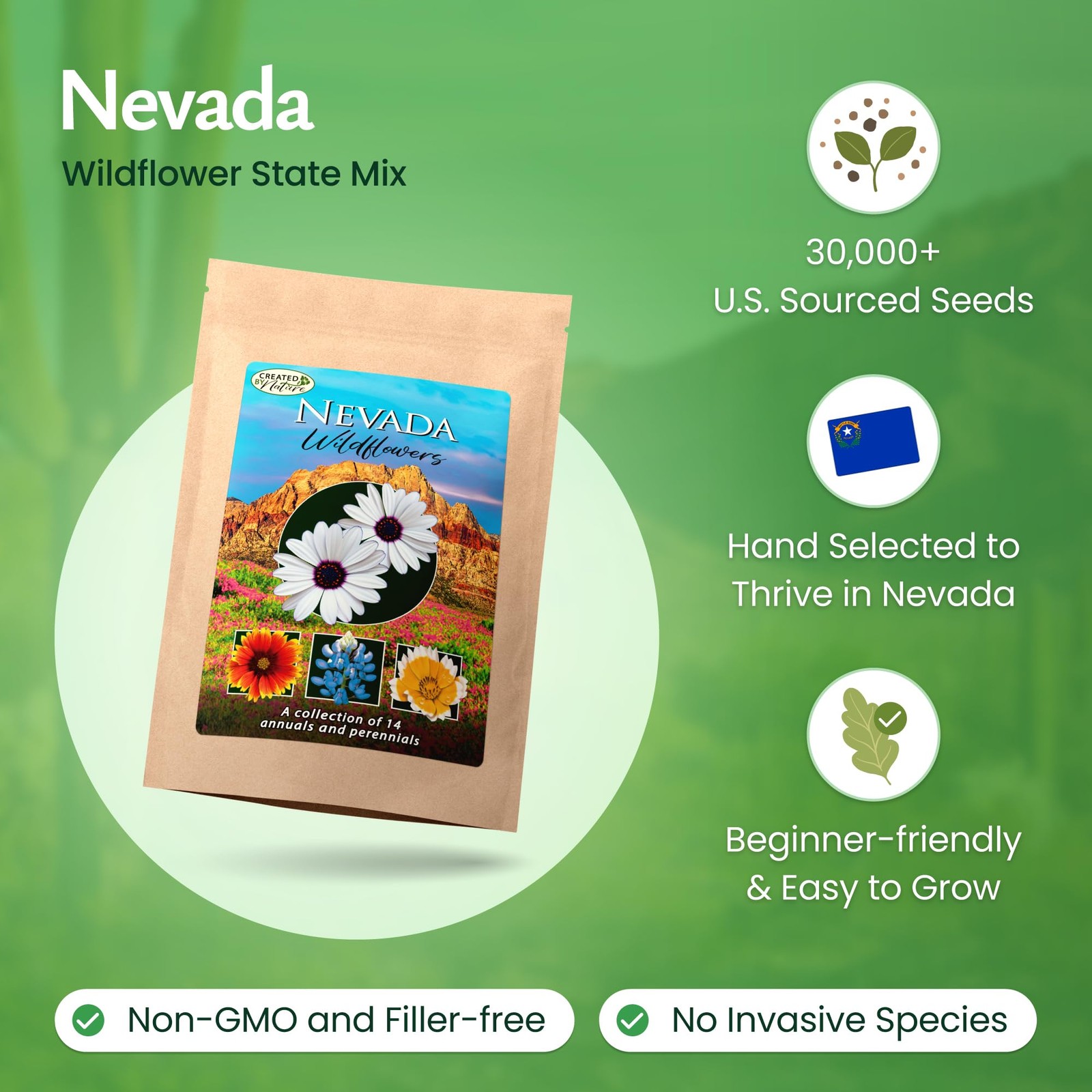 Nevada Wildflower Seed Mix, 14 Flower Varieties, 30,000 Seeds
