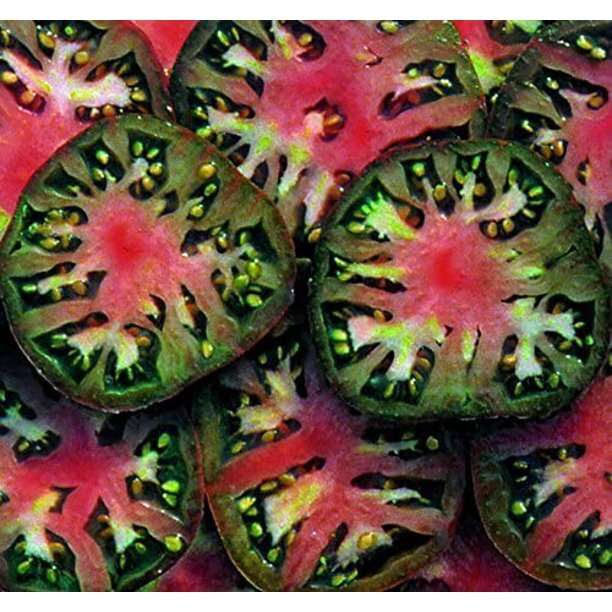 Black Sea Man Tomato Seeds | Non-GMO | Free Shipping | Seed Store | 1289