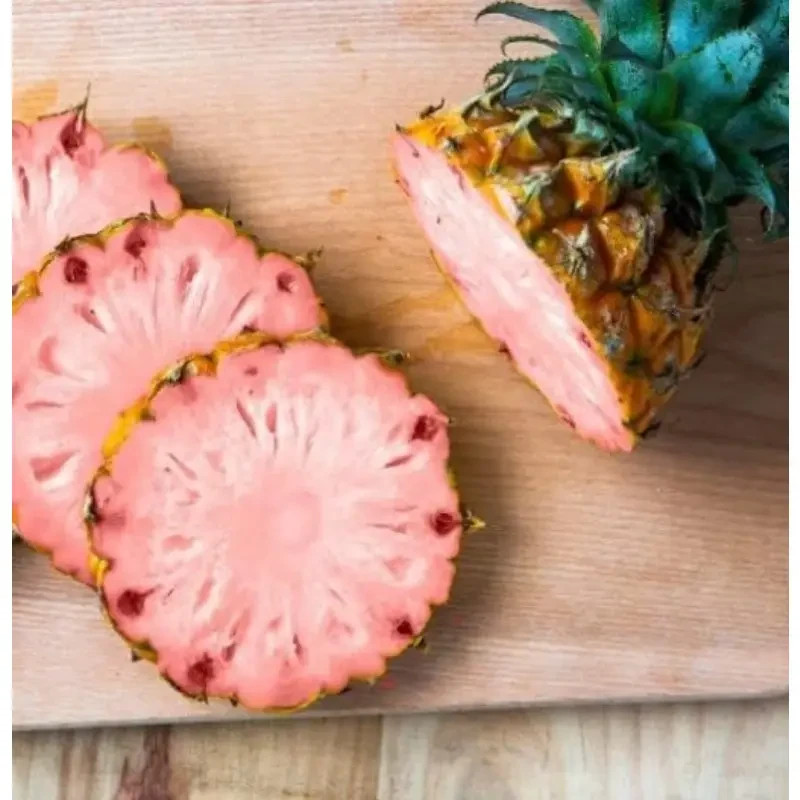 10 Pcs Pinkglow Pineapple Seeds for Garden Planting – USA
