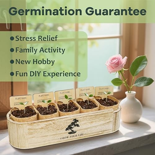 Bonsai Tree Kit for Beginners – Complete Indoor Gardening Set with 5 Seed Types