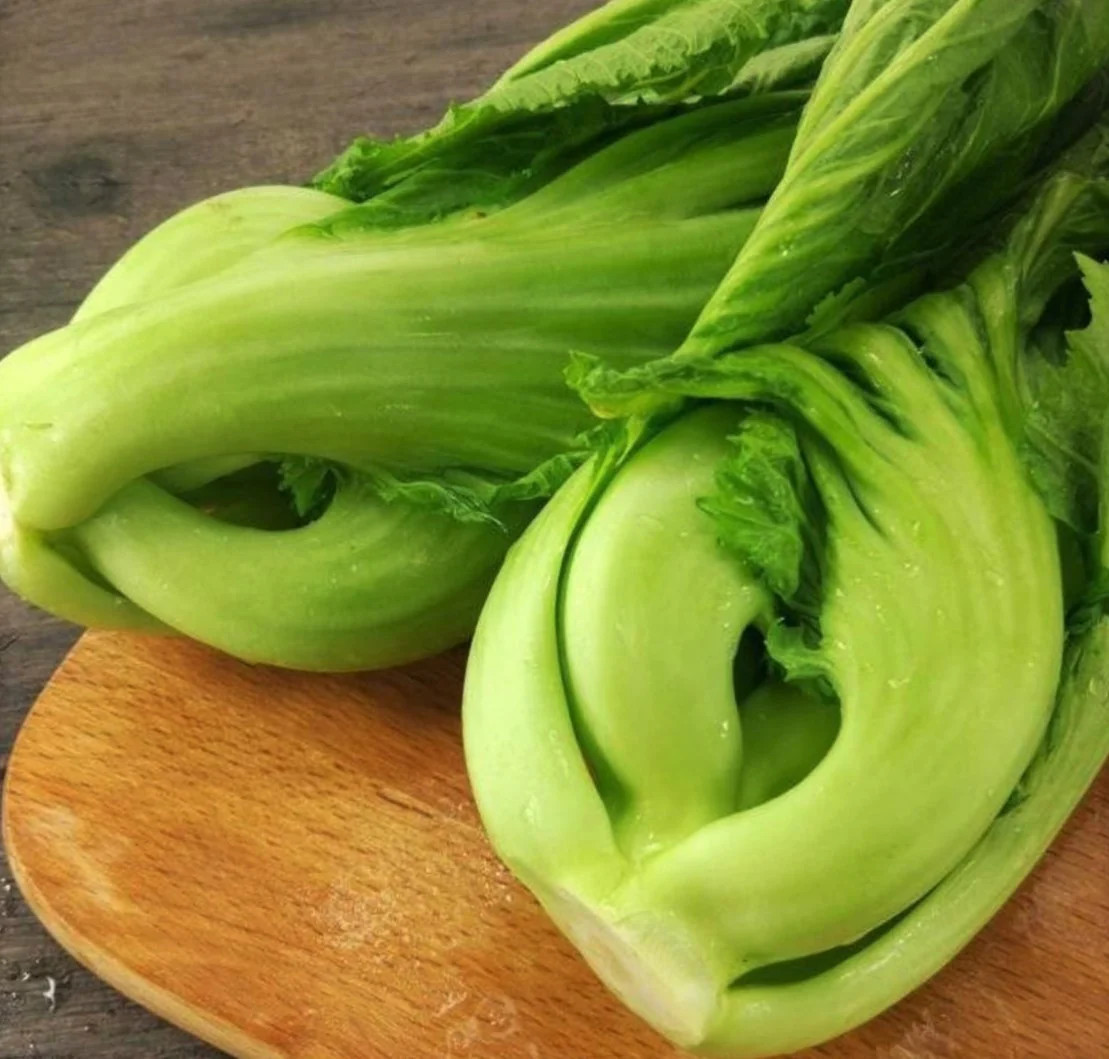 Da Ping Pu Chinese Mustard Greens Seeds | Stem Head Cabbage Choy 芥菜 Seed 2024
