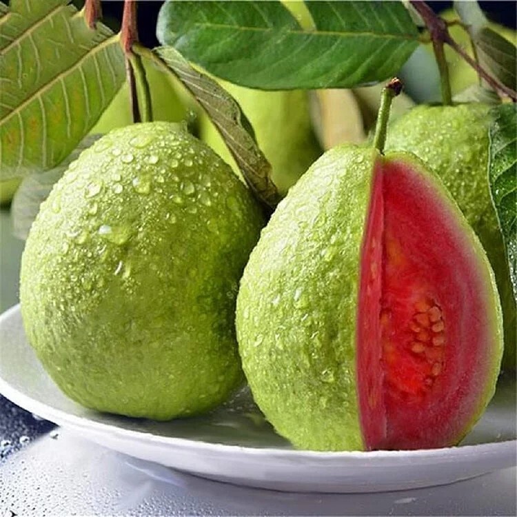 50pcs Tropical Strawberry Guava Organic Pink Guava Seeds – Exotic Flavors