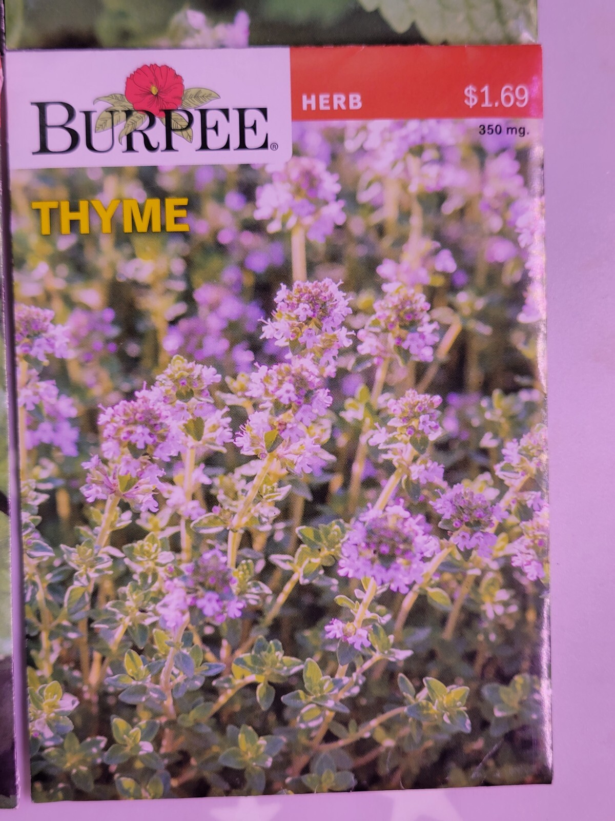 Burpee Herb Seed Assortment 1 (2021) New Sealed Inventory Guaranteed to Sprout