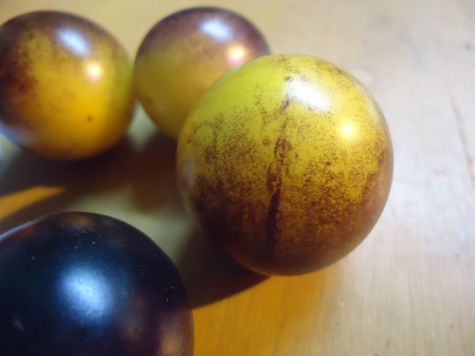 Heirloom tomato seeds Build a variety pack, or take all 50! *SURVIVAL SEEDS*