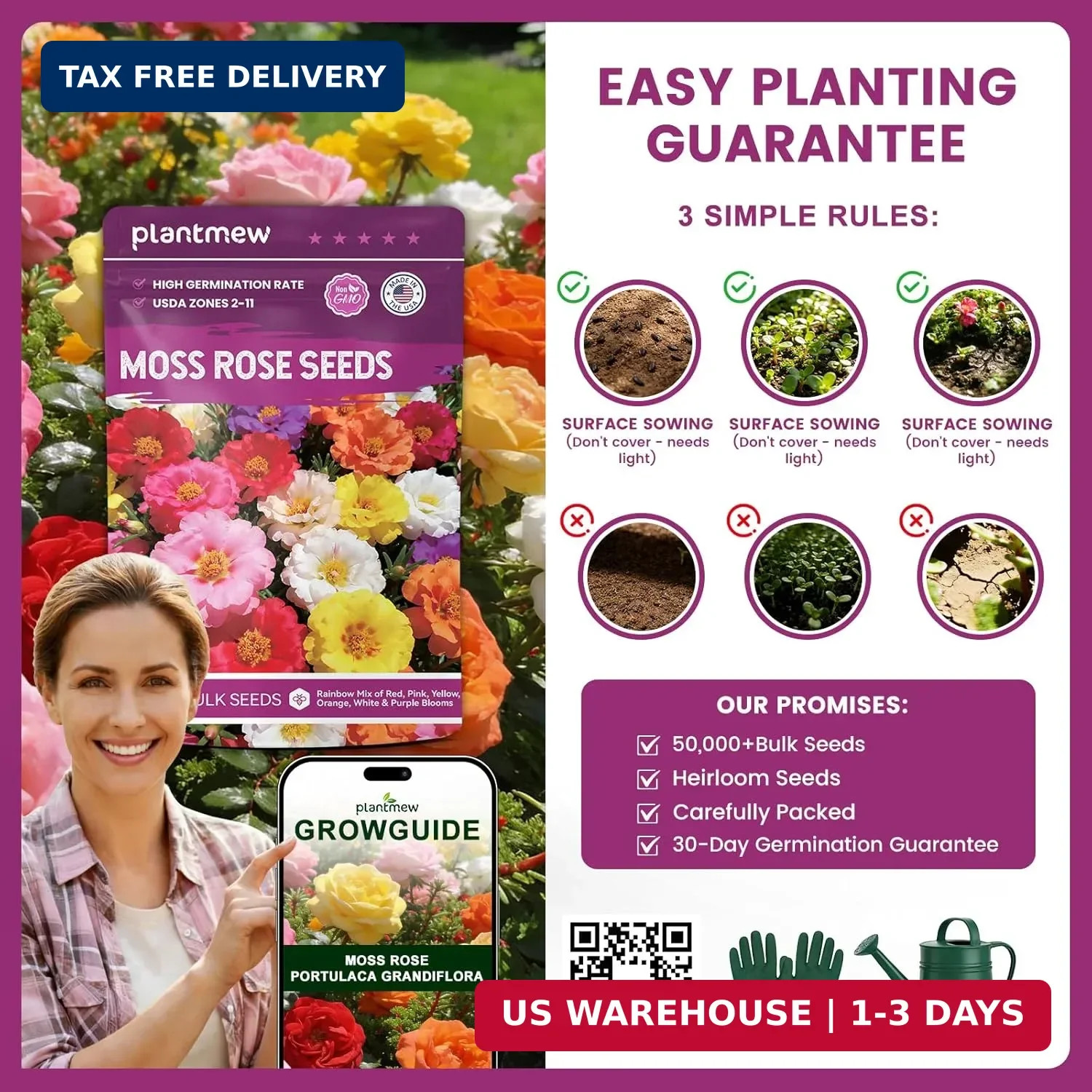 Moss Rose Seeds Bulk Pack – 50,000+ Heirloom Portulaca Seeds for Planting Outdoo