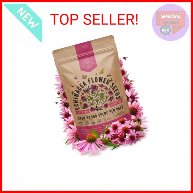 Organo Republic Echinacea Seeds Pack 4 oz – Over 37,500 Non-GMO Heirloom Echinac