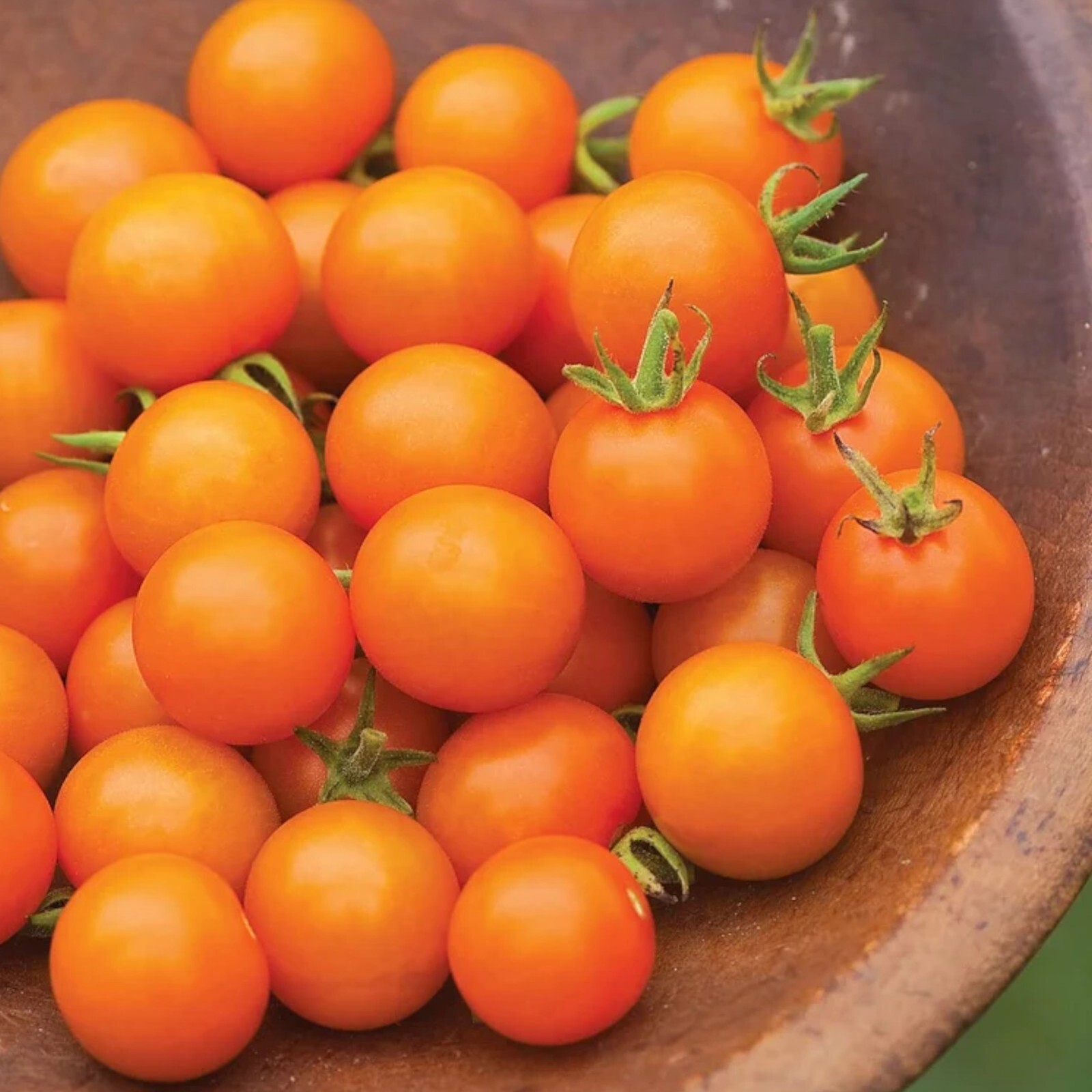 100pcs Patio Choice Yellow Cherry Tomato Seeds – Heirloom, Non-GMO, Super Sweet.