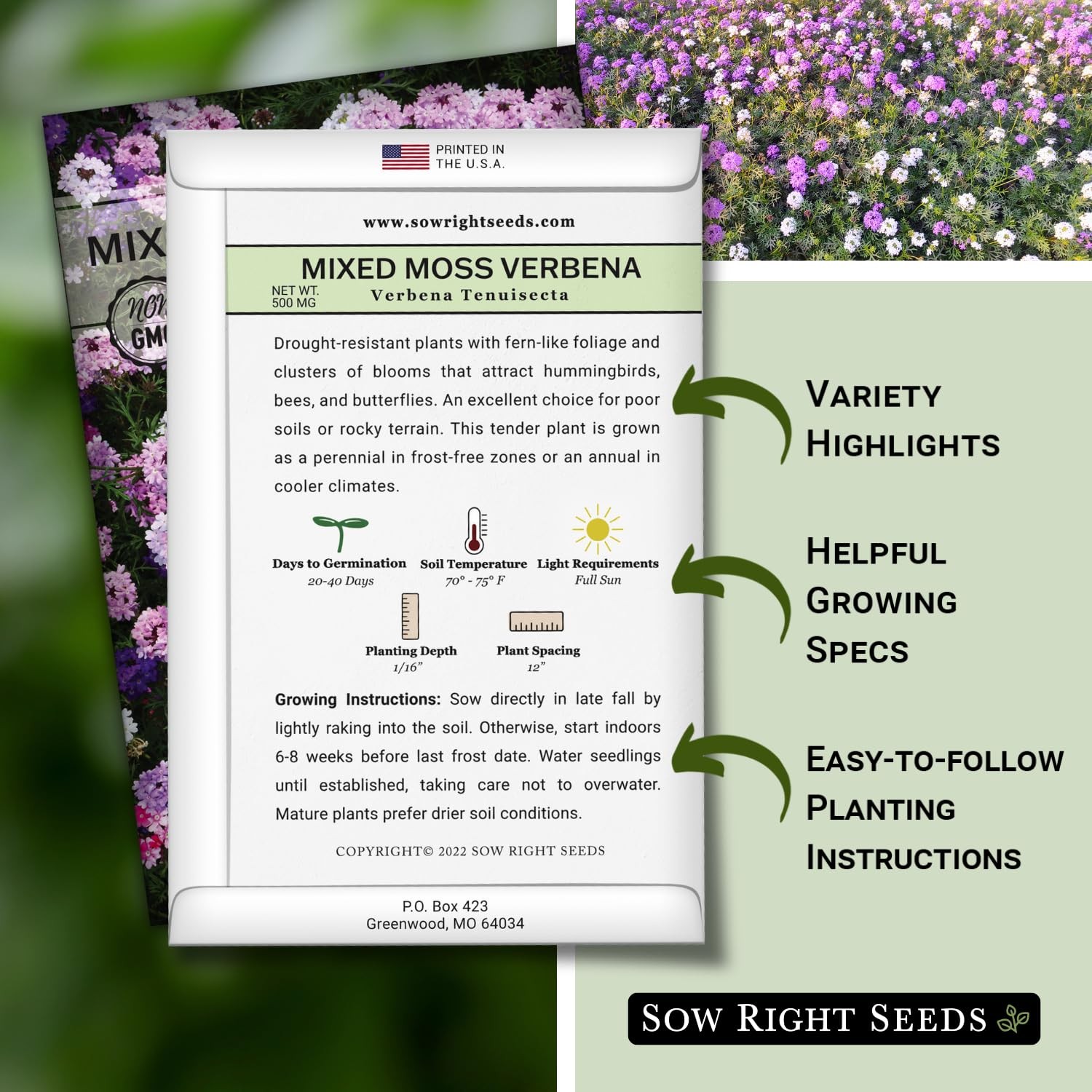 – Mixed Moss Verbena (Verbena tenuisecta) Flower Seeds for Planting – Excelle…