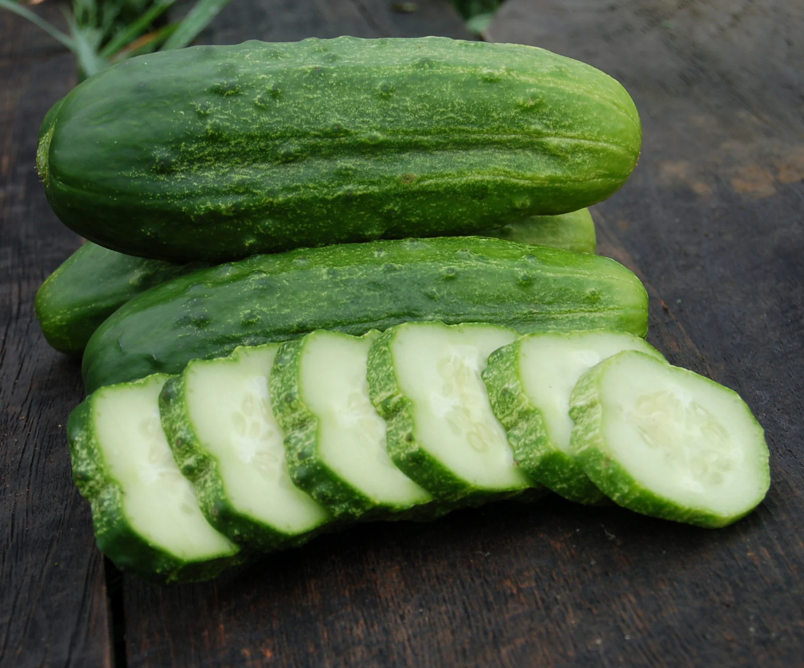 Wisconsin SMR58 Pickling Cucumber Seeds | Virus Resistant Top Producer Seed 2024