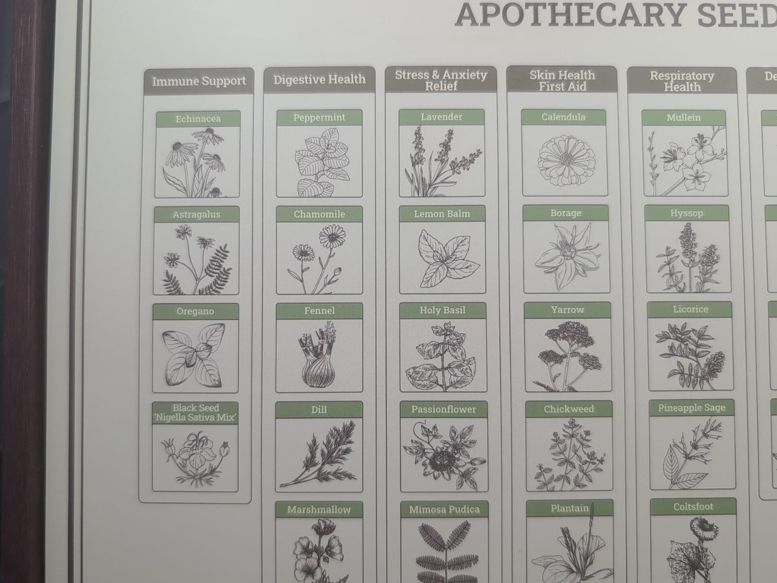 Medicinal Herb Seed Chest 36 000+ Non GMO Survival Kit Lush&Dew Ancestral Gifts