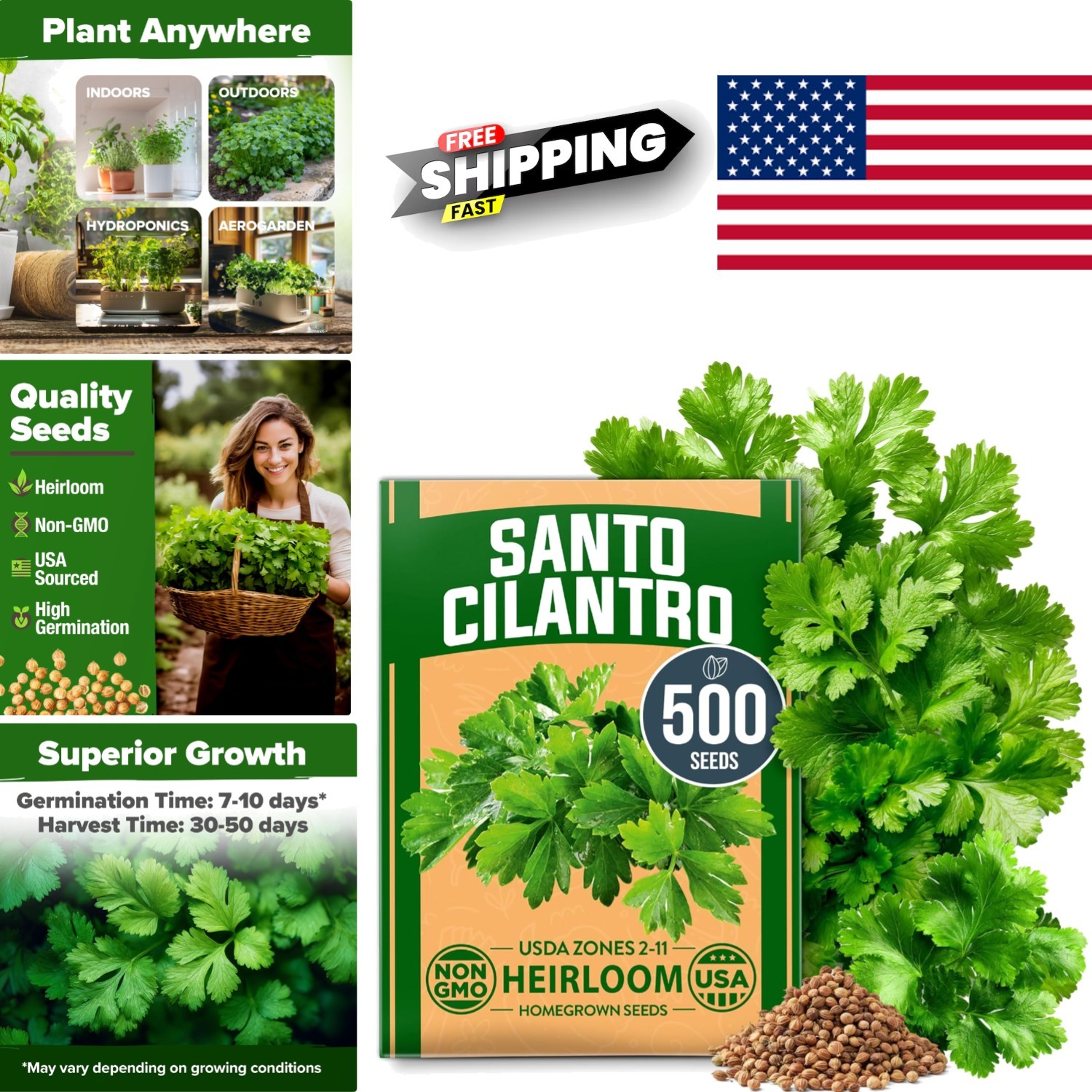 High Yield Cilantro Seeds 500 Heirloom Garden Seeds Perfect for Any Skill Level