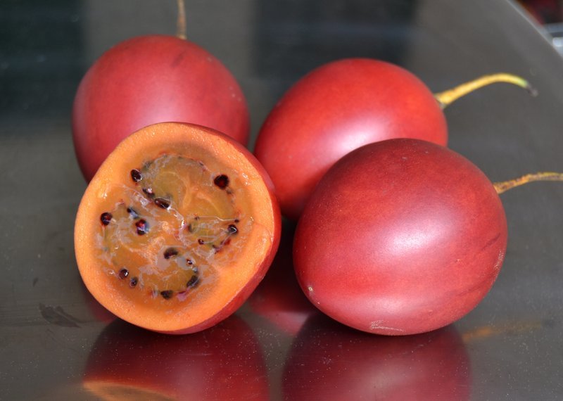Cyphomandra betacea TREE TOMATO Seeds!