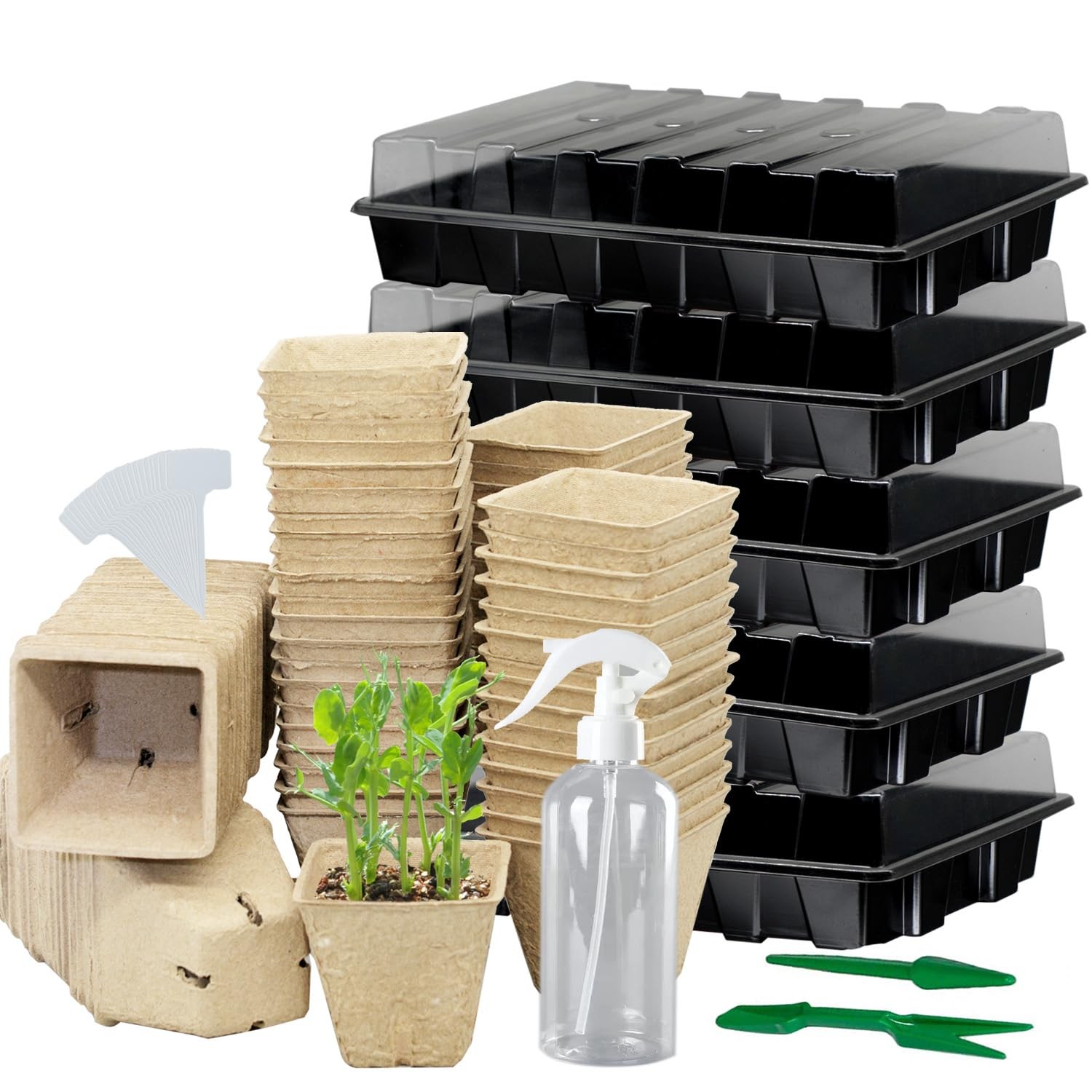 Taietc Seed Starter 9 inches (W) x 14.5 (L) x 4.5 (H), Black