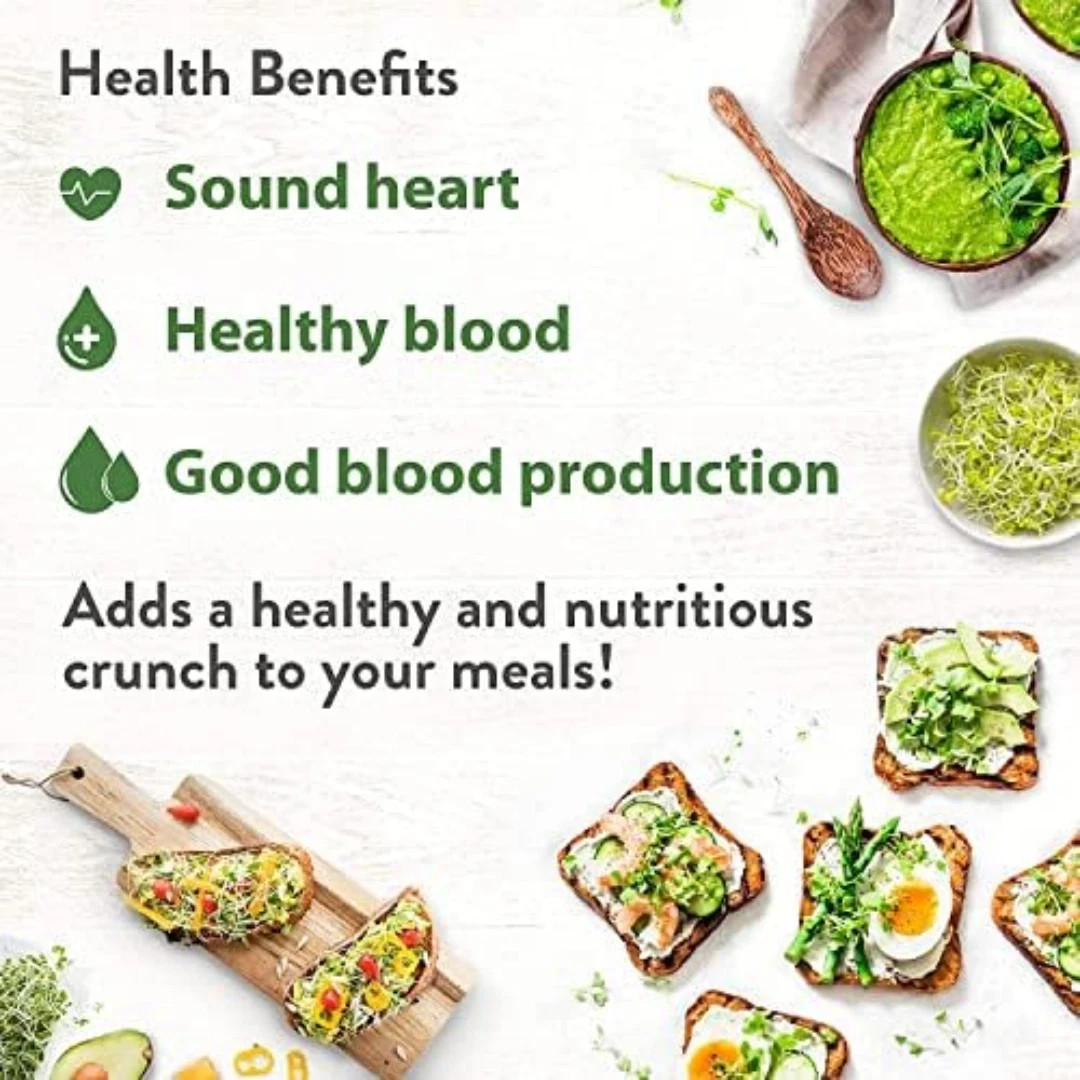 Broccoli Sprouting & Microgreens Seeds – 99,700 Non-GMO Heirloom