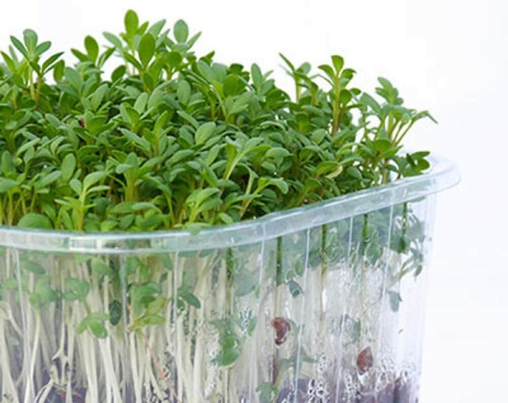 8 oz Cress