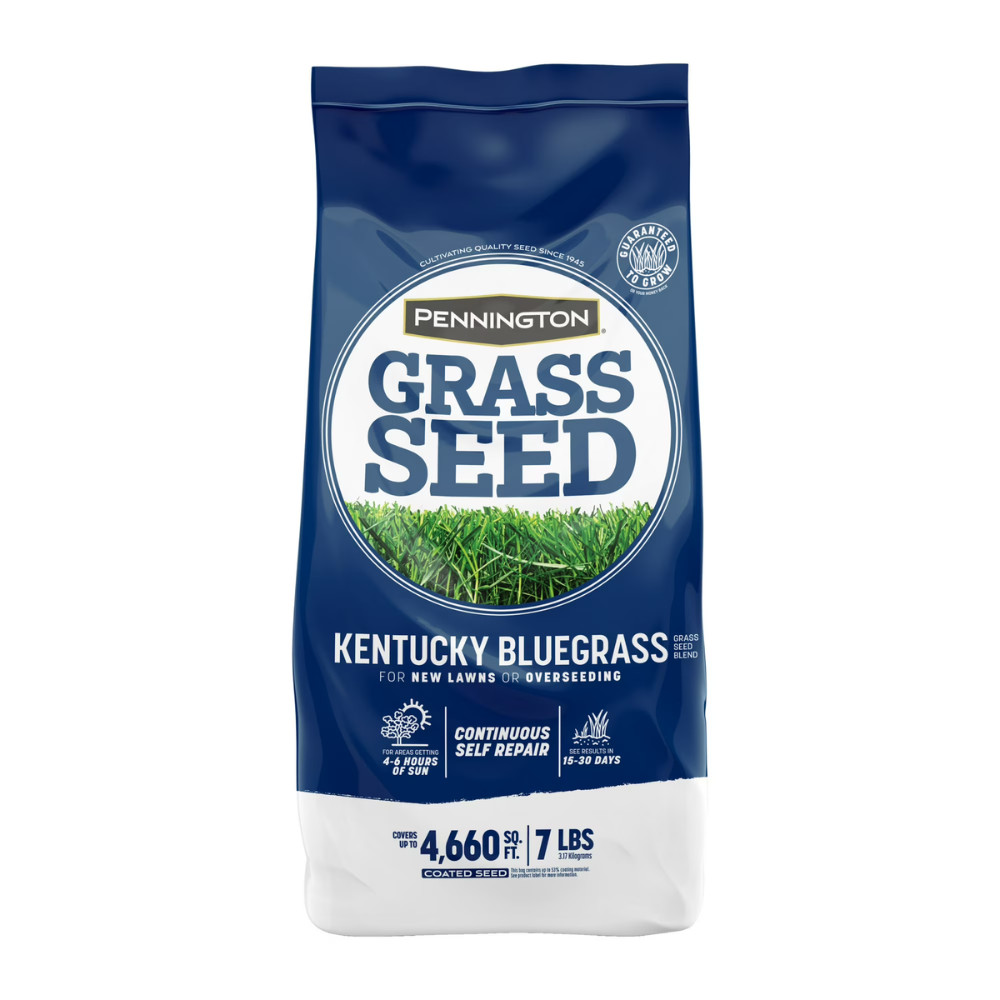 2 Pack Pennington Kentucky Bluegrass Mix, Sun & Partial Shade, 7 lb, Grass Seed