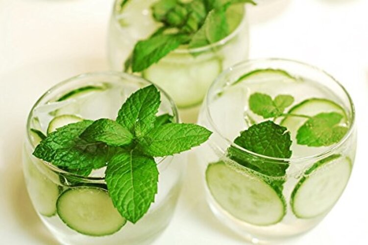 30 Muncher Burpless Sweet Cucumber Seeds, Heirloom Non-GMO, Non-Bitter and