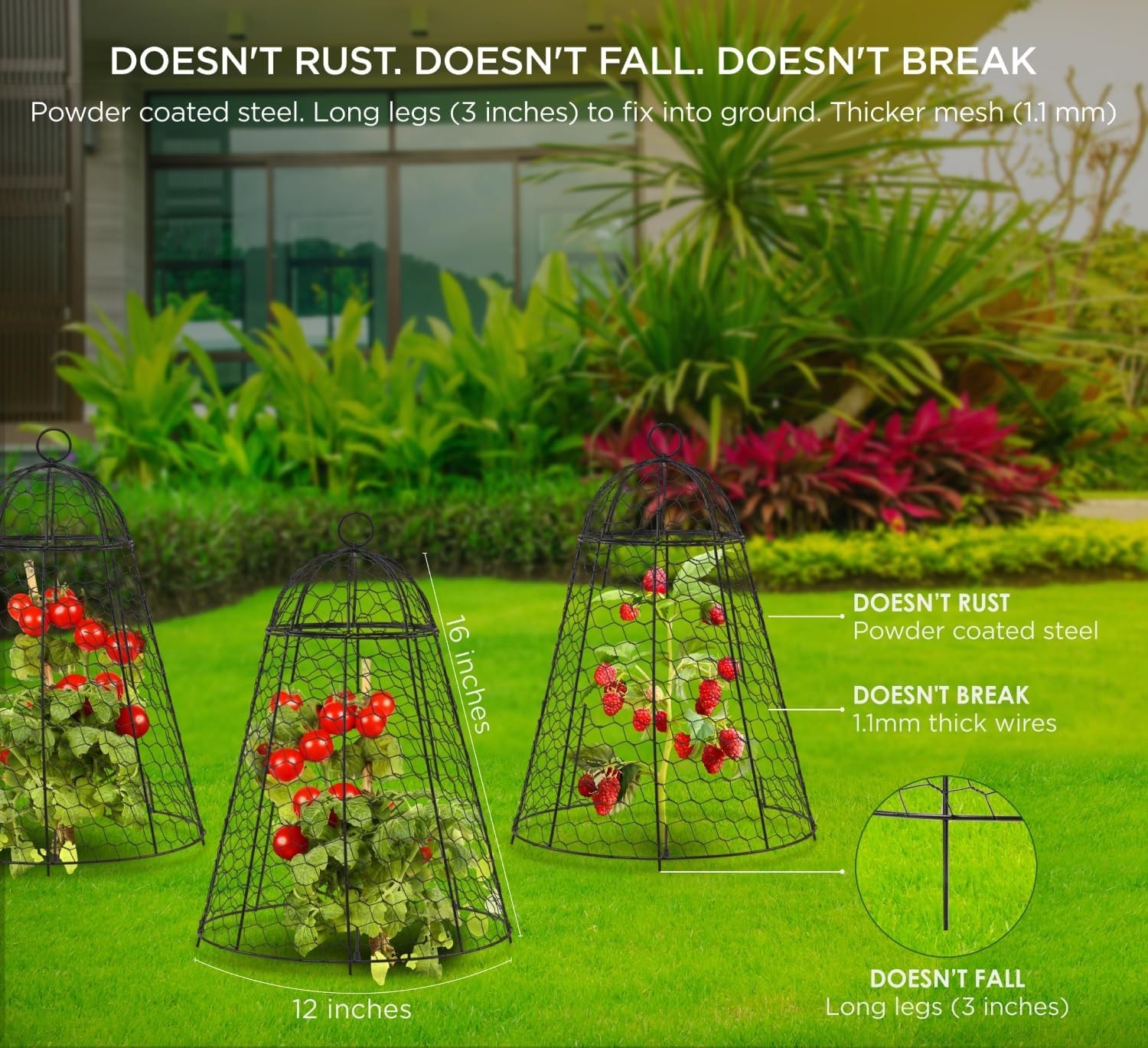 Durable Rustproof Garden Cloches for Plants – 6 Count, 12″ x 20″ Heavy Duty Mesh