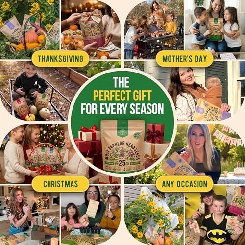 25 Herb Seeds Variety Pack – 11,700 Non-GMO Heirloom Seeds for Hydroponic & Indo