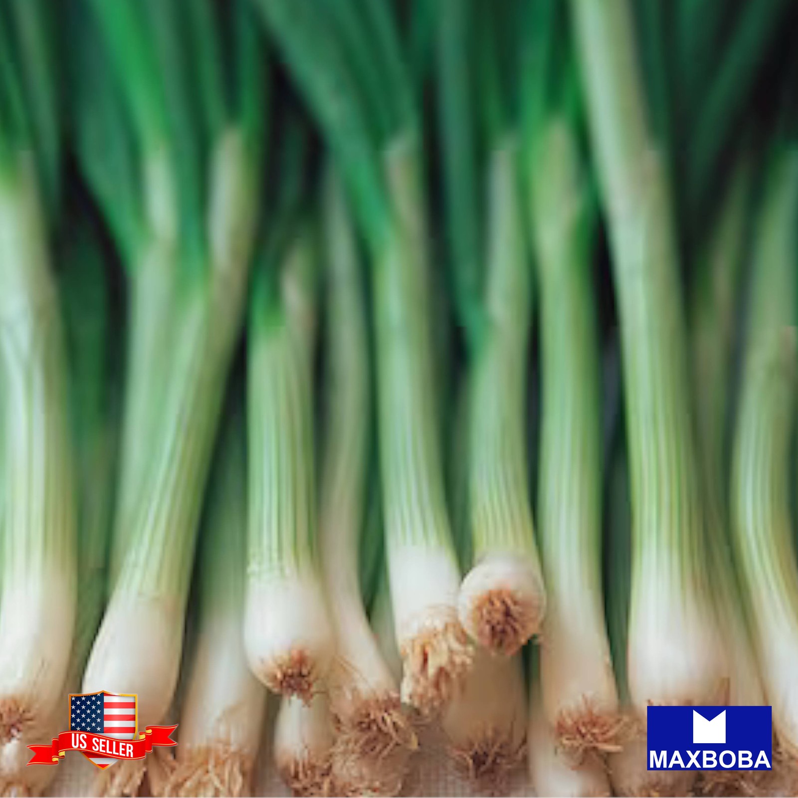 150+ Tokyo Long White (Organic) Onion Seeds – Bunching Non-GMO BTGO 75% OFF