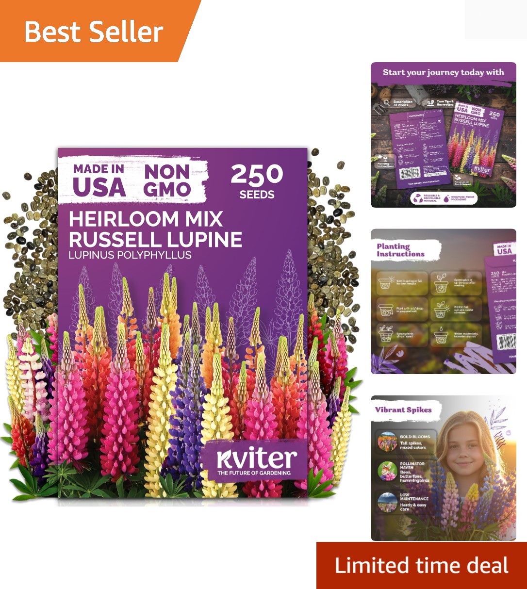 250 Count Perennial Russell Lupine Seeds – Flourishing Eco-Friendly Blooms