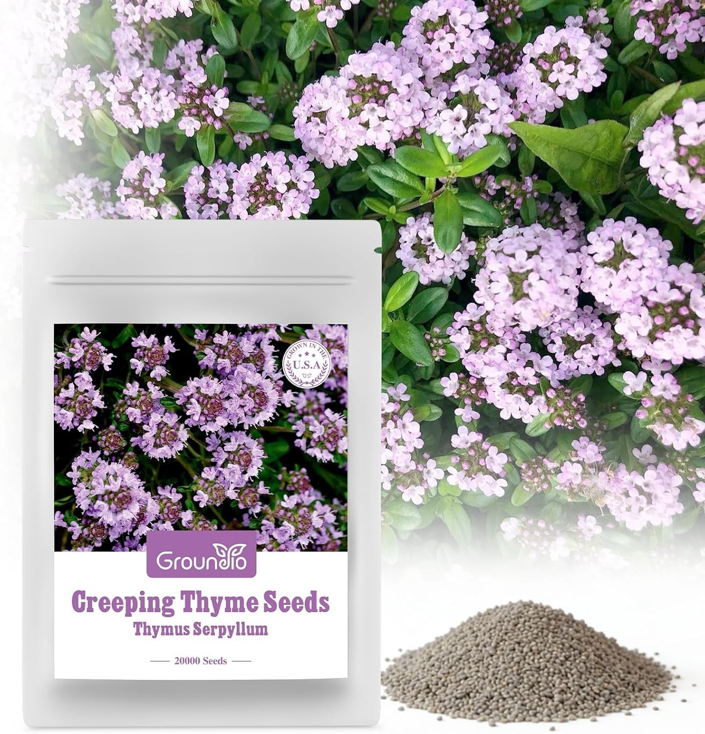 Attract Pollinators with 20000+ Creeping Thyme Seeds – Low Maintenance Option