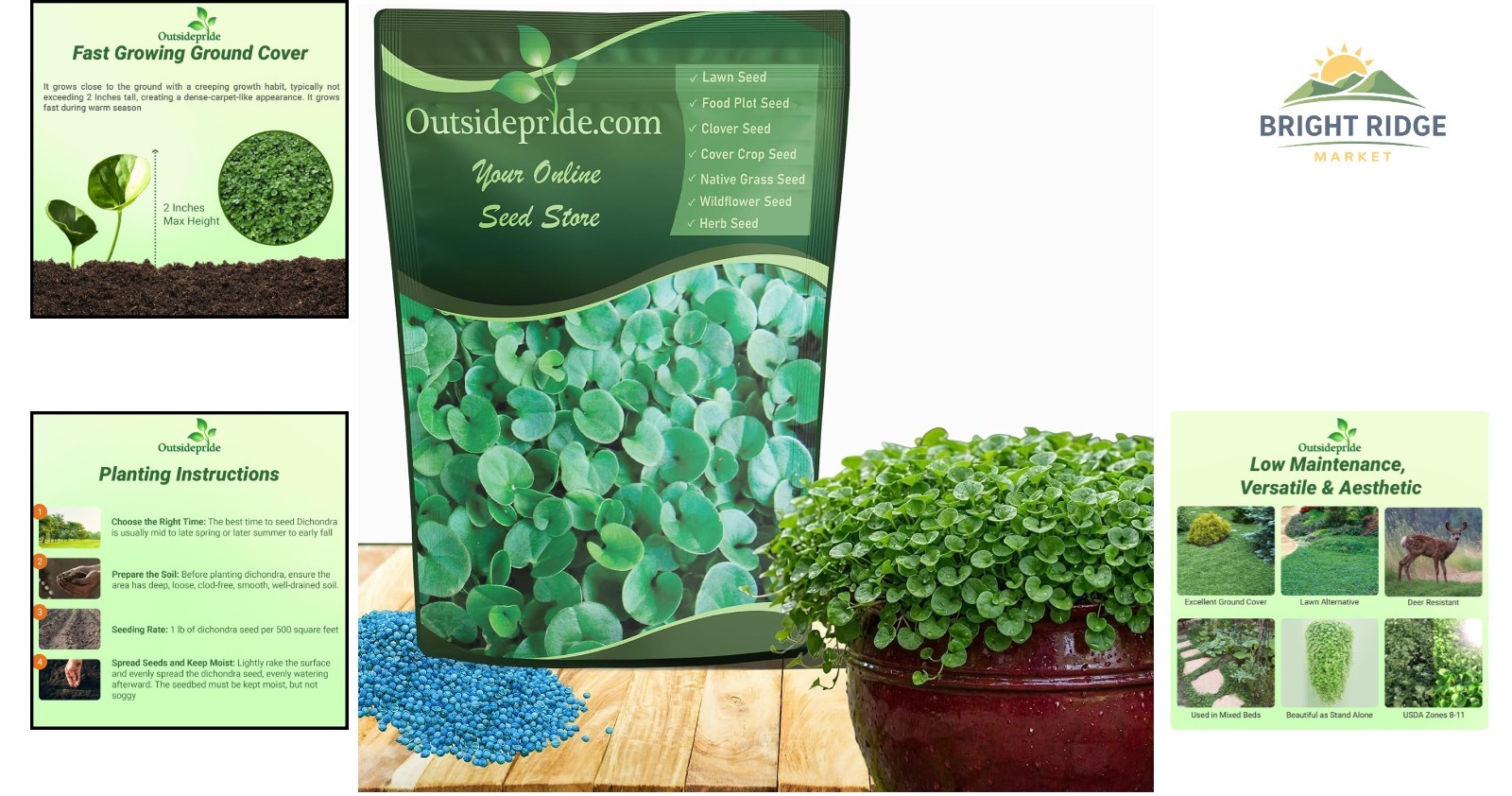Low-Maintenance Dichondra Seeds – Ideal for Quick Lawn Alternatives and Erosion
