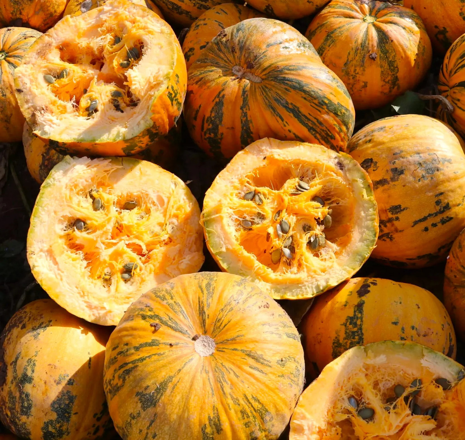Kakai Hulless Pumpkin Seeds | Naked Seed DeShelled Styrian Pumpkins Seed 2025