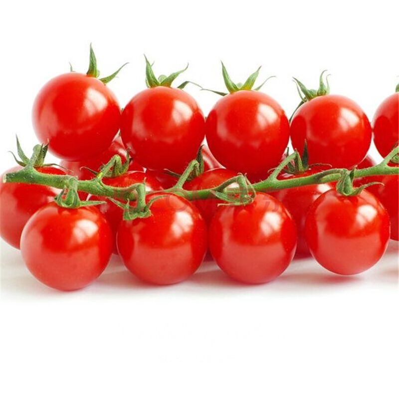 Small Red Cherry Tomato Seeds, NON-GMO, Variety Sizes, Garden Salad, FREE SHIP