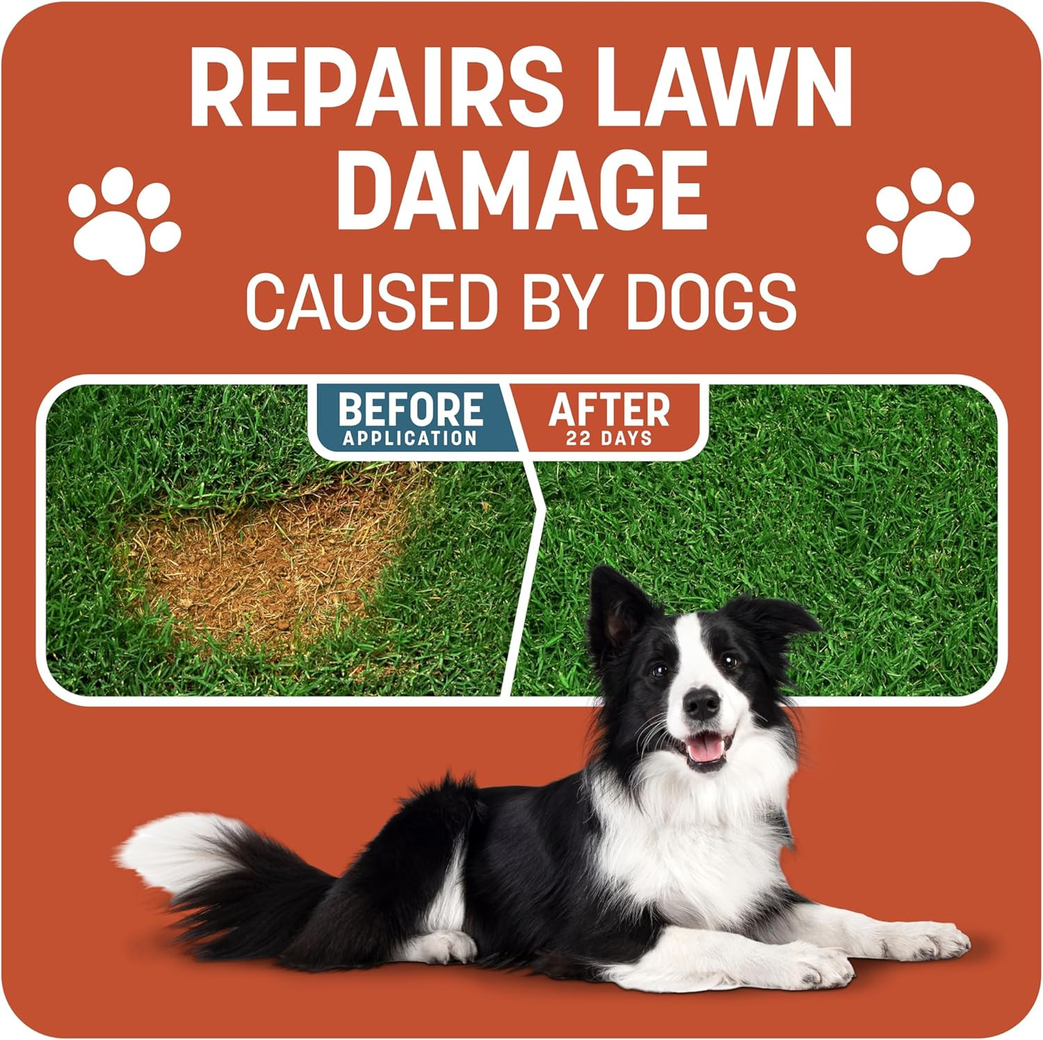 Smart Patch Bermudagrass 5Lb 100 Sq. Ft. Grass Seed Bare Spot Repair with Mulch