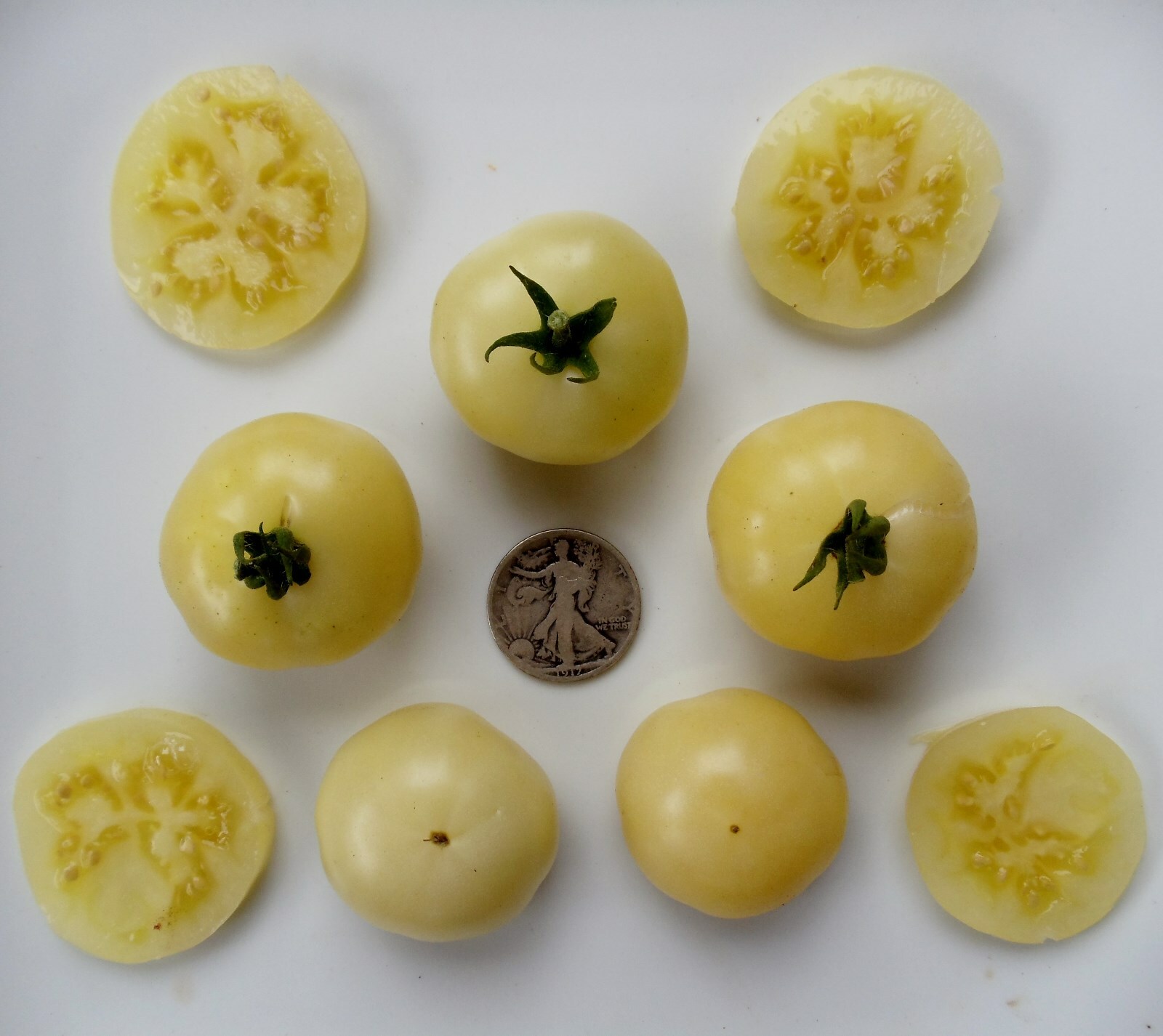 Super Snow White – Non Acidic! – Very Sweet! – 40 Seeds – Buy any 3 var, 20% off